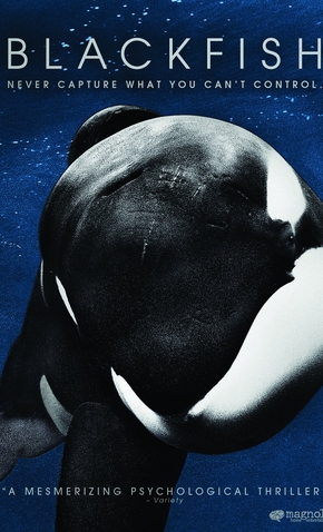 Blackfish: Fúria Animal